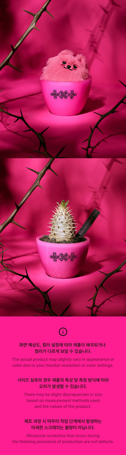 GENERAL SALE | [TXT X GORE PLANT SEOUL] Pot - 7TH YEARS