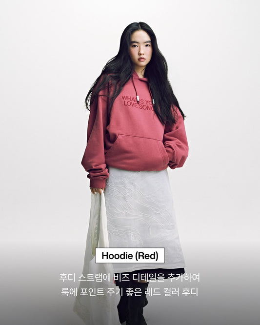 GENERAL SALE Merch ARIRANG Hoodie