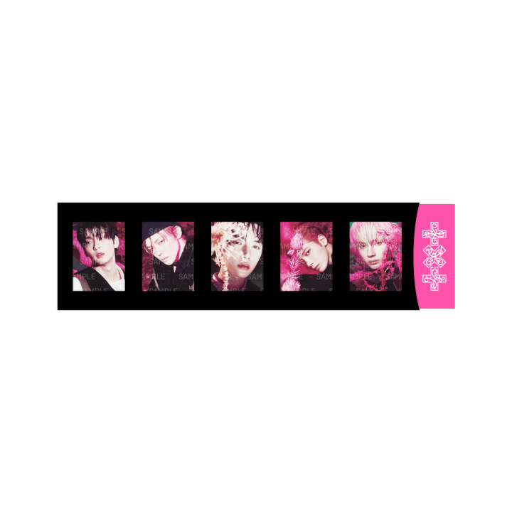 GENERAL SALE | Film Photo - 7TH YEARS